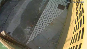 Caméra IP - Hong Kong