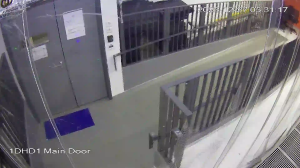 Caméra IP - Hong Kong