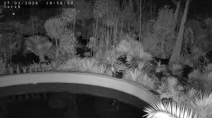 Caméra IP - Slowakei