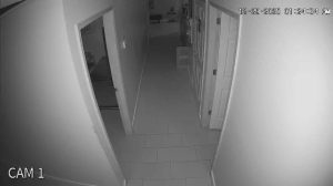 Caméra IP - United States of America