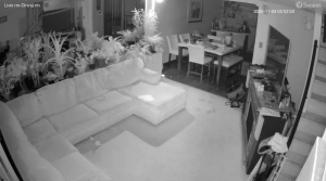 Caméra IP - United States of America