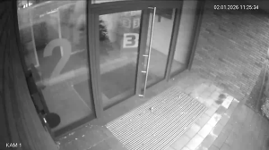 Caméra IP - Germany