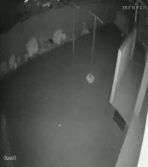 Caméra IP - Südafrika