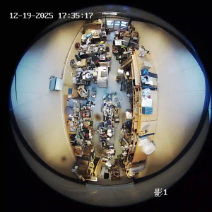 Caméra IP - Dinamarca