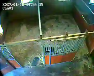 Caméra IP - Netherlands