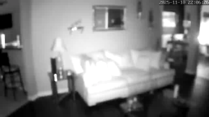 Caméra IP - Vereinigte Staaten von Amerika