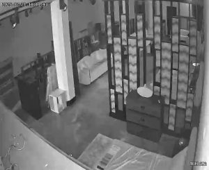 Caméra IP - Turquía