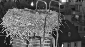 Caméra IP - Germany