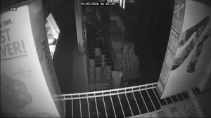 Caméra IP - États-Unis d'Amérique