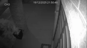 Caméra IP - Australien