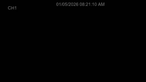 Caméra IP - South Korea