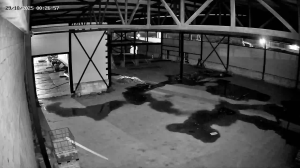 Caméra IP - Russian Federation