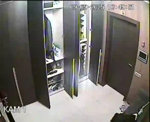 Caméra IP - Russian Federation