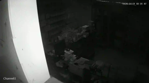 Caméra IP - Algérie