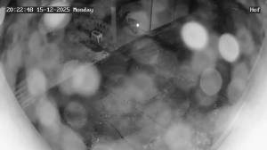 Caméra IP - Germany