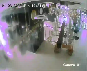 Caméra IP - Türkei