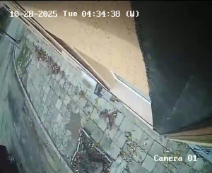 Caméra IP - Bulgaria