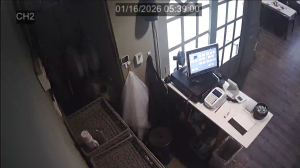 Caméra IP - South Korea