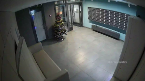 Caméra IP - Russian Federation