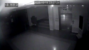 Caméra IP - South Korea