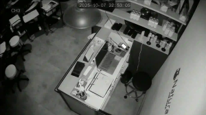 Caméra IP - Giappone