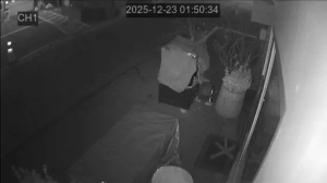 Caméra IP - República de Corea