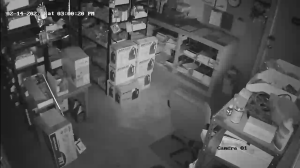 Caméra IP - United States of America