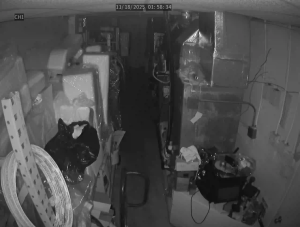 Caméra IP - États-Unis d'Amérique