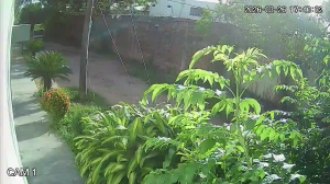 Caméra IP - Bolivien