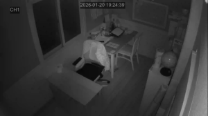 Caméra IP - South Korea