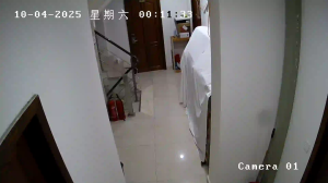 Caméra IP - Cina