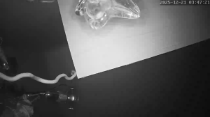 Caméra IP - República Checa