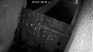 Caméra IP - United Kingdom