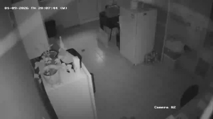 Caméra IP - Bulgaria