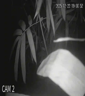 Caméra IP - Vietnam