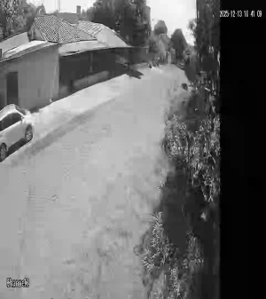 Caméra IP - Paraguay