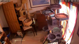 Caméra IP - Vereinigte Staaten von Amerika