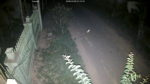 Caméra IP - Vietnam