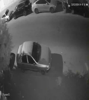 Caméra IP - Égypte