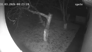 Caméra IP - Vue en direct