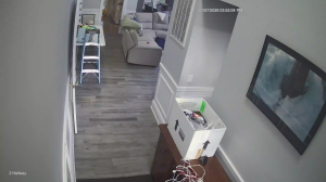 Caméra IP - Vereinigte Staaten von Amerika