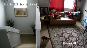 Caméra IP - United States of America