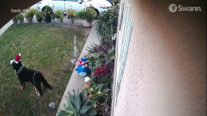 Caméra IP - Estados Unidos