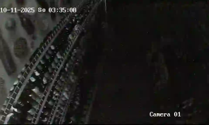 Caméra IP - Polen