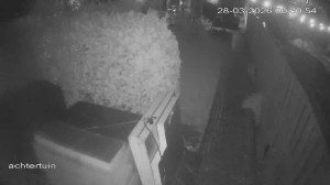 Caméra IP - Pays-Bas