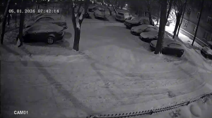 Caméra IP - Russian Federation