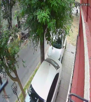 Caméra IP - Argentinien