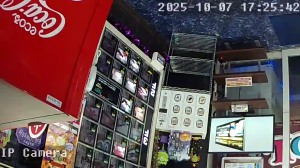 Caméra IP - Japón