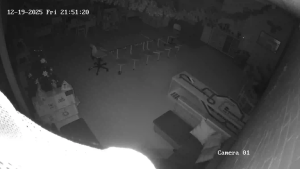 Caméra IP - Netherlands