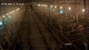 Caméra IP - Südkorea